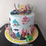 Ocean Ombré "Baby Shark" Cake.