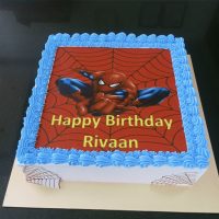 Spider-Man Web-Slinger Sheet Cake